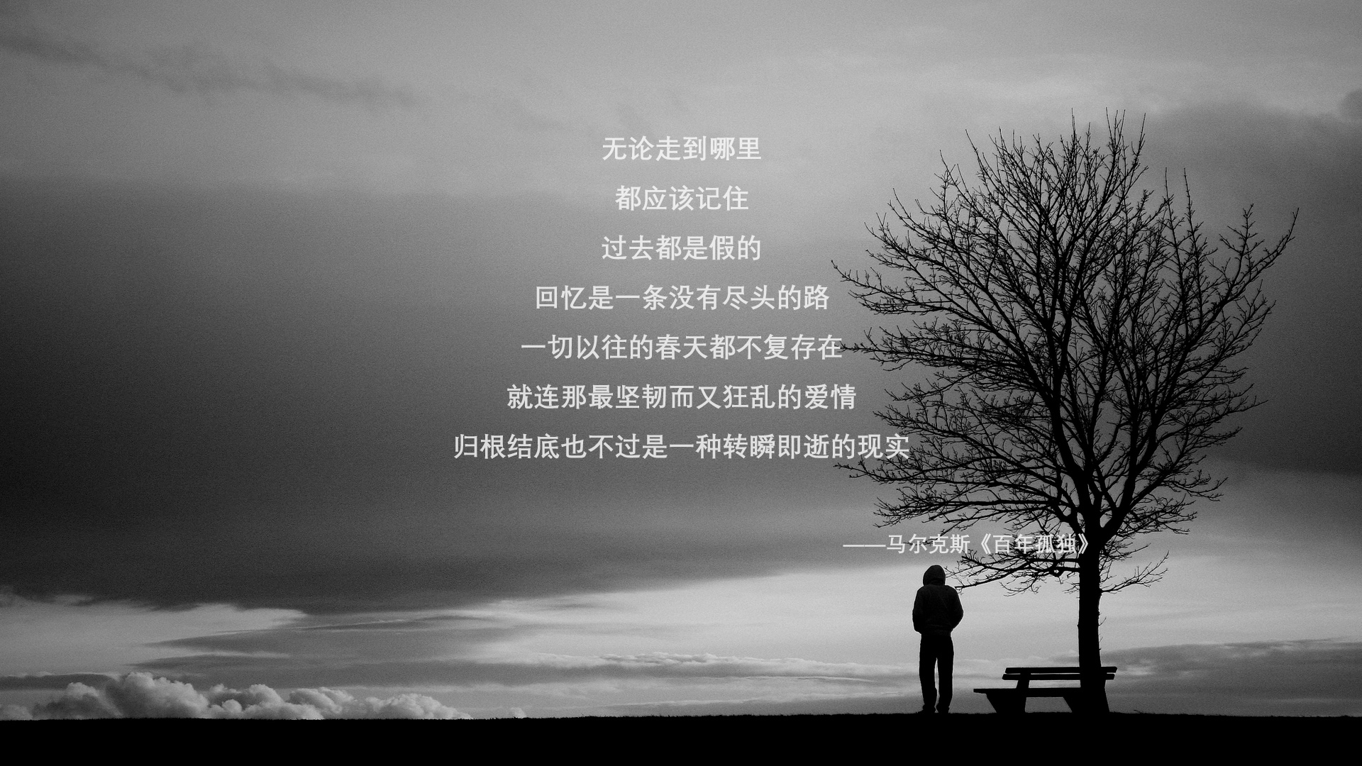 法甲球队通过视频情境语义理解提升战术执行一致性，法甲足球比赛视频